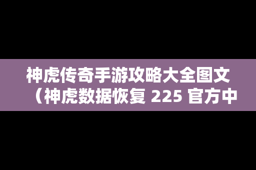 神虎传奇手游攻略大全图文（神虎数据恢复 225 官方中文绿色版）