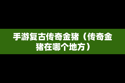 手游复古传奇金猪（传奇金猪在哪个地方）
