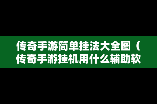 传奇手游简单挂法大全图（传奇手游挂机用什么辅助软件）