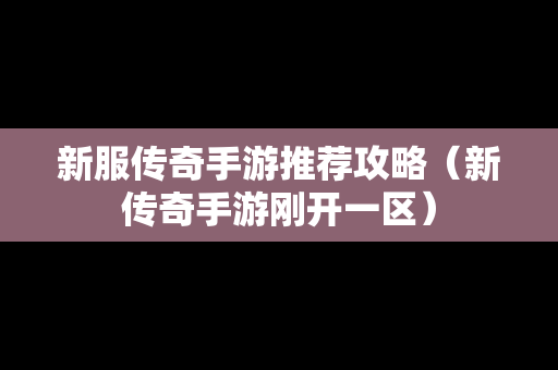 新服传奇手游推荐攻略（新传奇手游刚开一区）