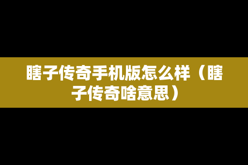 瞎子传奇手机版怎么样（瞎子传奇啥意思）