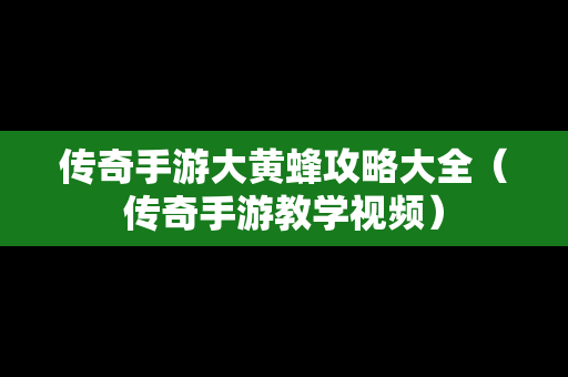 传奇手游大黄蜂攻略大全（传奇手游教学视频）