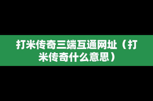 打米传奇三端互通网址（打米传奇什么意思）