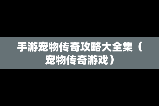 手游宠物传奇攻略大全集（宠物传奇游戏）